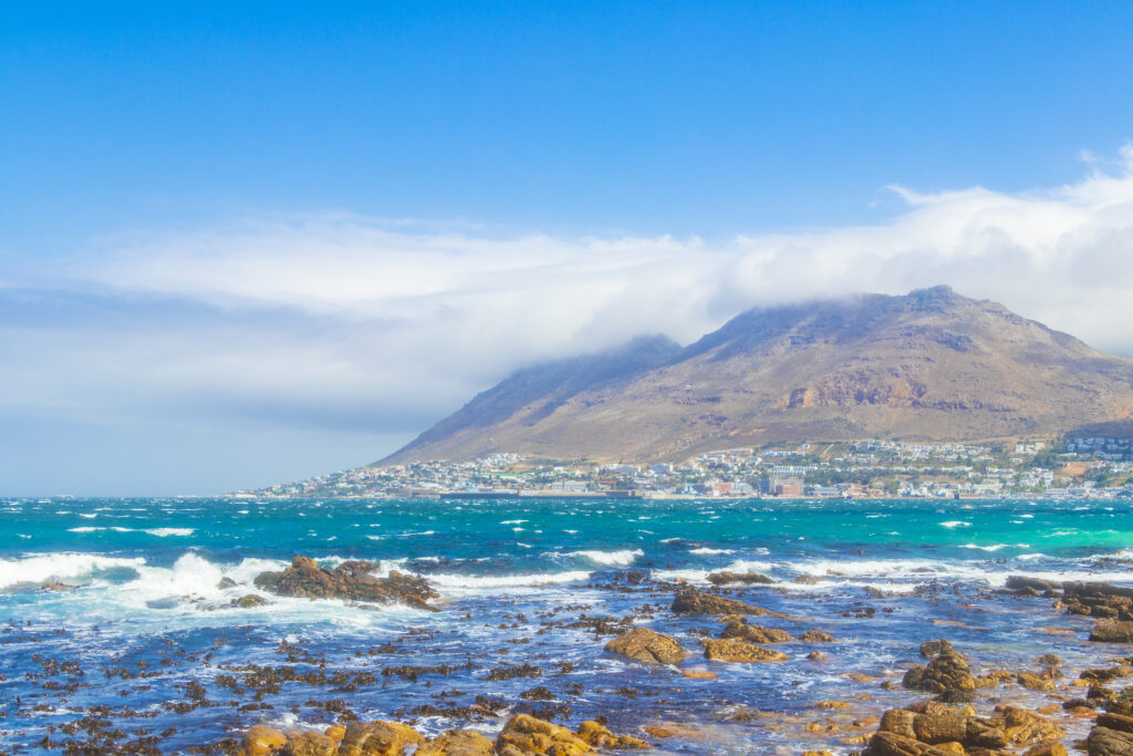 How to Maintain Your Locks in Cape Town